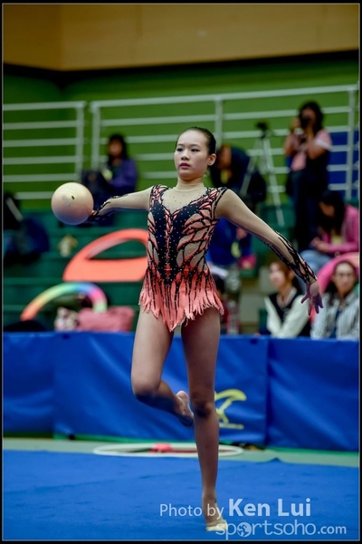20161120 art 1948