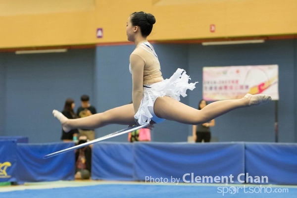 RG2016_2_339