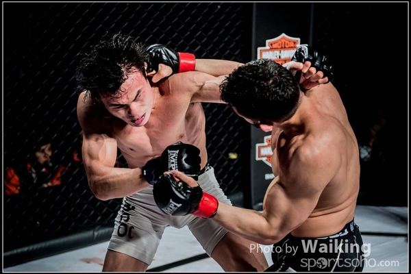 2016-12-02 IMPI 0255