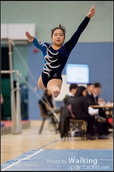 2017-01-14 Artistic Gymnastics 0003