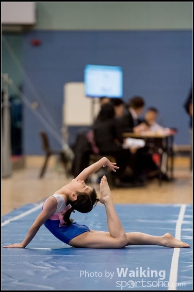 2017-01-14 Artistic Gymnastics 0006