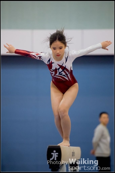 2017-01-14 Artistic Gymnastics 0013