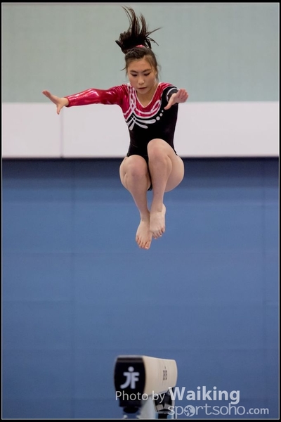 2017-01-14 Artistic Gymnastics 0020