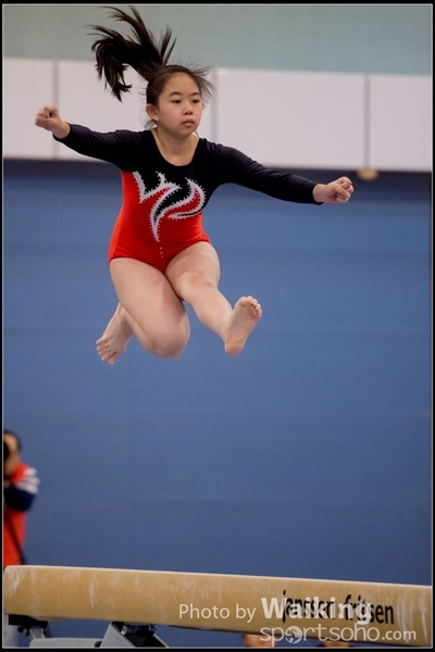 2017-01-14 Artistic Gymnastics 0022