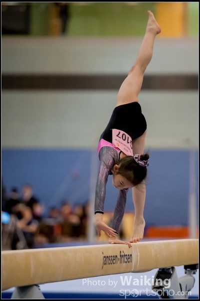 2017-01-14 Artistic Gymnastics 0023
