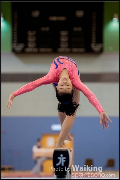 2017-01-14 Artistic Gymnastics 0025