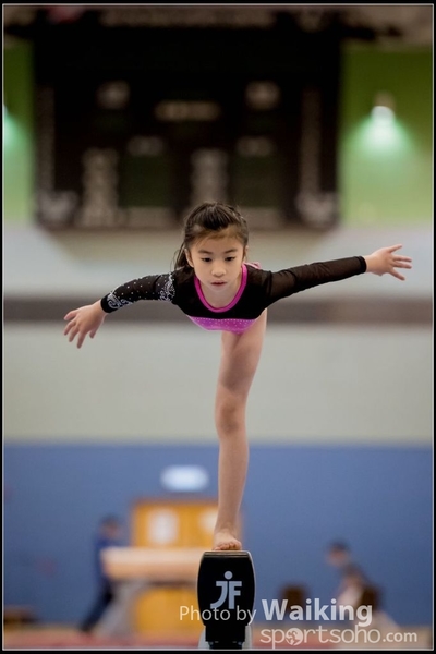 2017-01-14 Artistic Gymnastics 0027