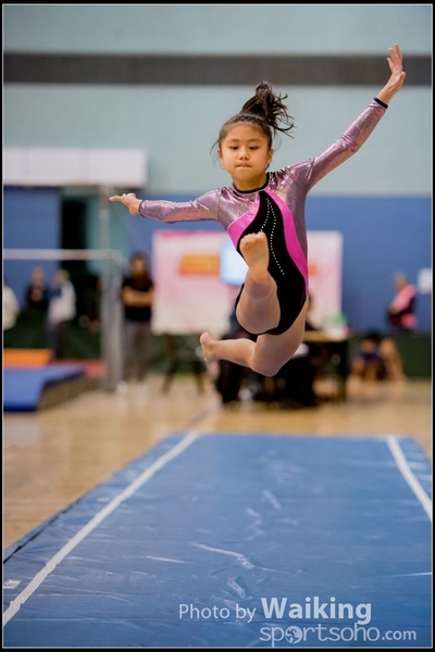 2017-01-14 Artistic Gymnastics 0031