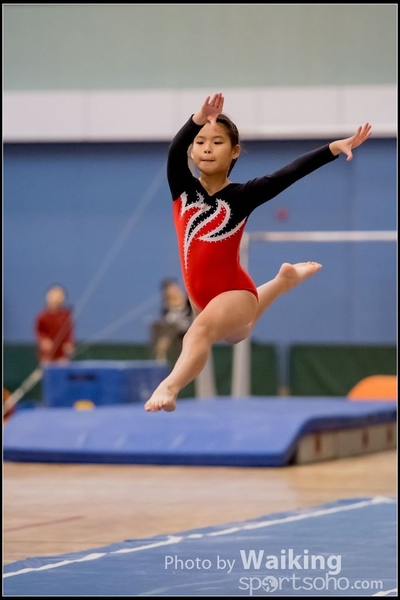2017-01-14 Artistic Gymnastics 0034