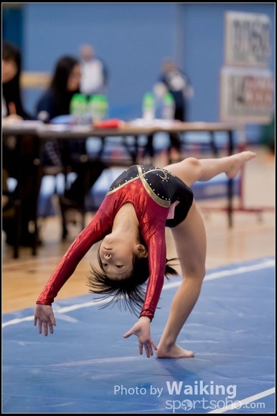 2017-01-14 Artistic Gymnastics 0082