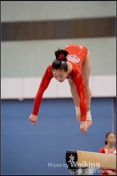 2017-01-14 Artistic Gymnastics 0086