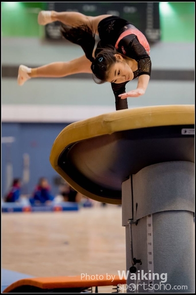 2017-01-14 Artistic Gymnastics 0132