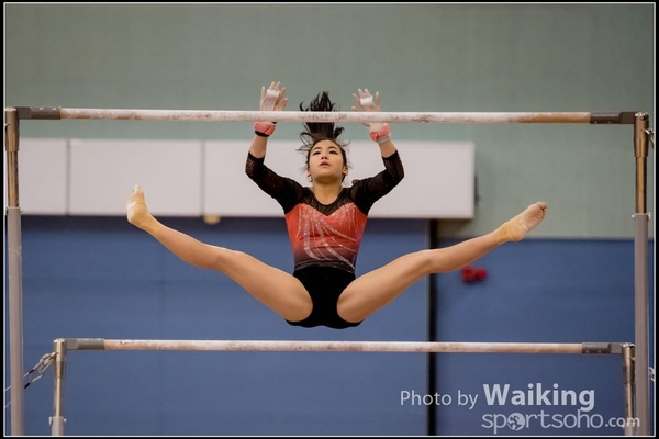 2017-01-14 Artistic Gymnastics 0241