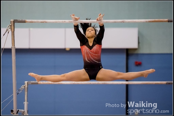 2017-01-14 Artistic Gymnastics 0245