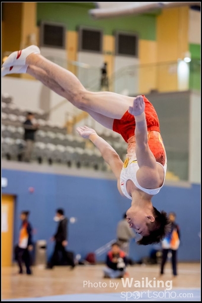 2017-01-14 Artistic Gymnastics 0331