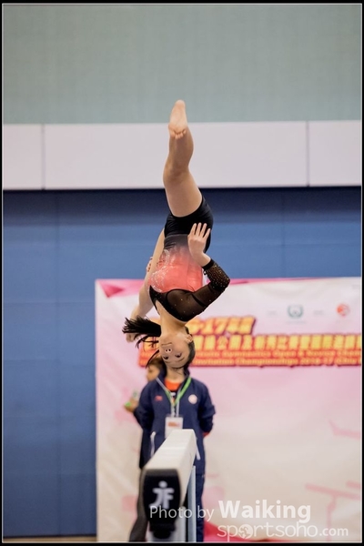 2017-01-14 Artistic Gymnastics 0342