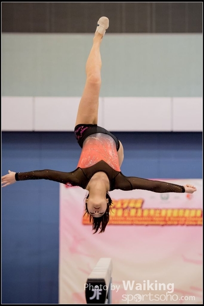 2017-01-14 Artistic Gymnastics 0344