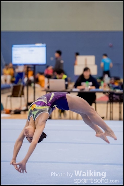 2017-01-14 Artistic Gymnastics 0345