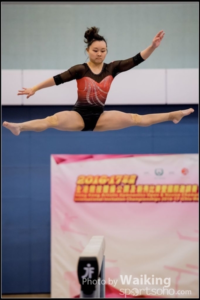 2017-01-14 Artistic Gymnastics 0348