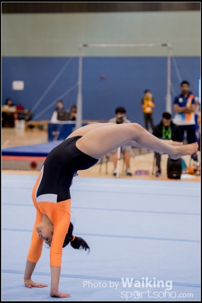 2017-01-14 Artistic Gymnastics 0353