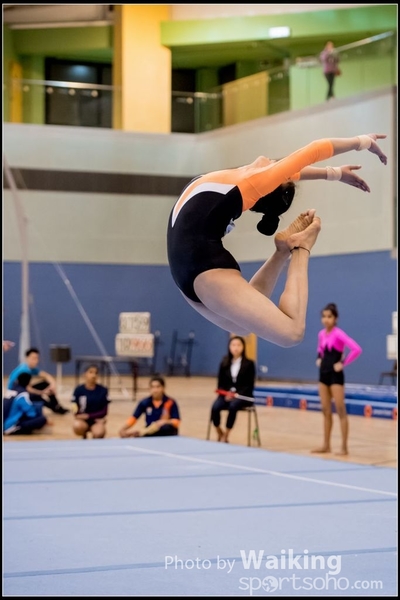 2017-01-14 Artistic Gymnastics 0358