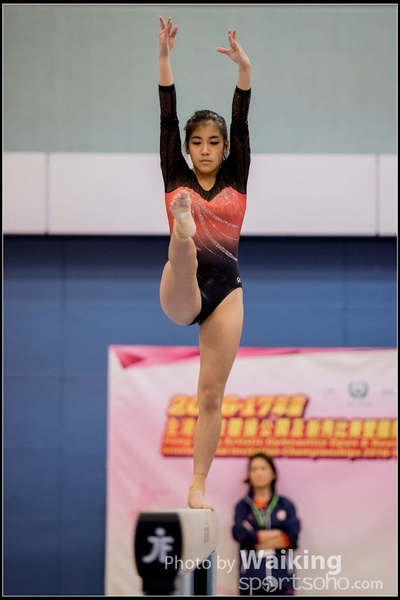 2017-01-14 Artistic Gymnastics 0361