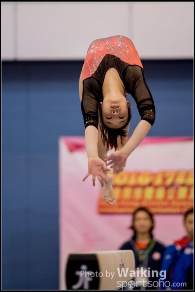 2017-01-14 Artistic Gymnastics 0371