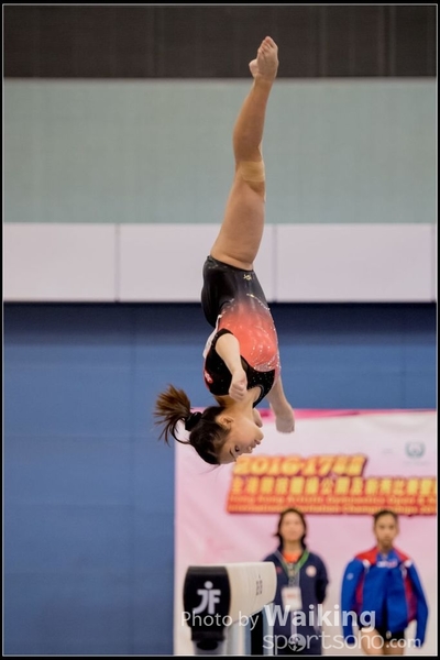 2017-01-14 Artistic Gymnastics 0375
