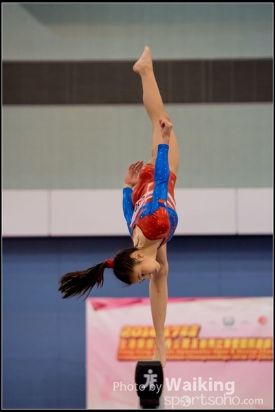 2017-01-14 Artistic Gymnastics 0450