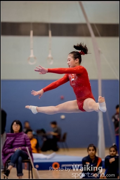 2017-01-14 Artistic Gymnastics 0455