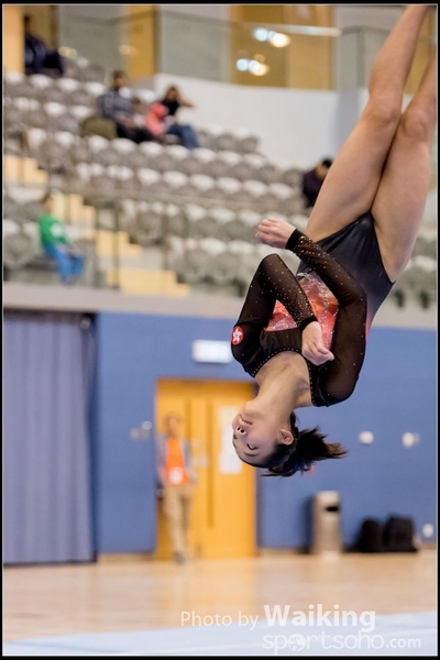 2017-01-14 Artistic Gymnastics 0495