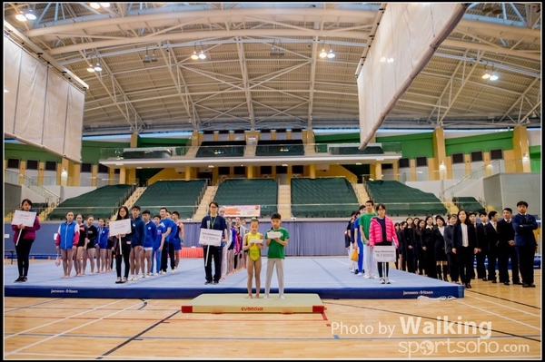 2017-01-15 Artistic Gymnastics 0004