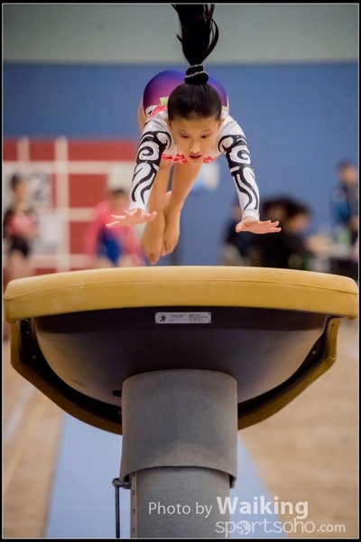2017-01-15 Artistic Gymnastics 0005
