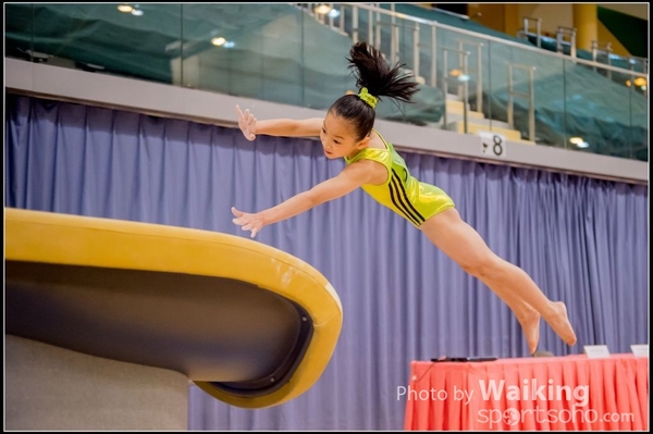 2017-01-15 Artistic Gymnastics 0014