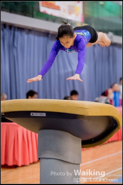 2017-01-15 Artistic Gymnastics 0023