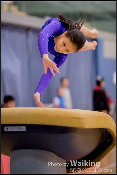 2017-01-15 Artistic Gymnastics 0024