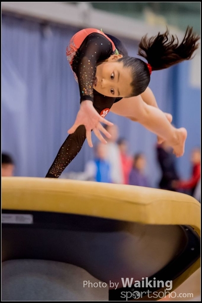 2017-01-15 Artistic Gymnastics 0025