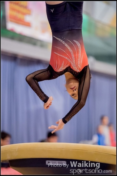 2017-01-15 Artistic Gymnastics 0026