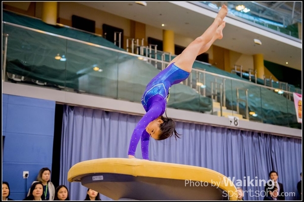 2017-01-15 Artistic Gymnastics 0030
