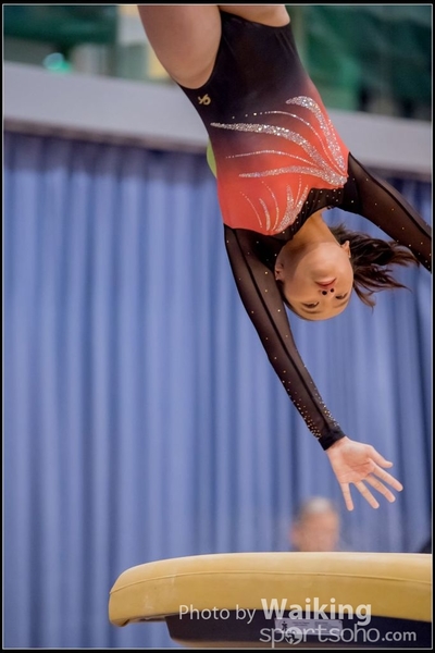 2017-01-15 Artistic Gymnastics 0033