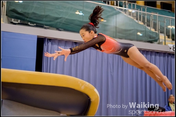 2017-01-15 Artistic Gymnastics 0034