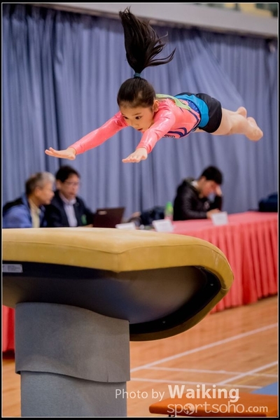 2017-01-15 Artistic Gymnastics 0037