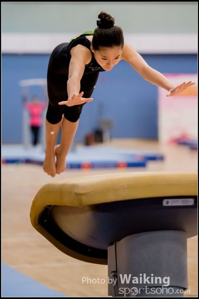 2017-01-15 Artistic Gymnastics 0038