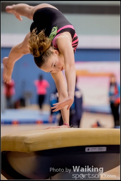 2017-01-15 Artistic Gymnastics 0039