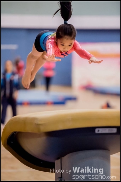 2017-01-15 Artistic Gymnastics 0040