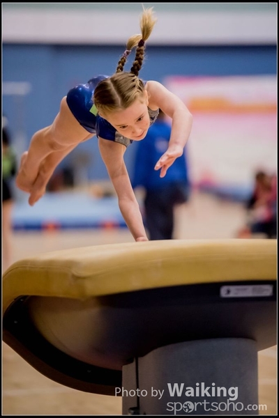 2017-01-15 Artistic Gymnastics 0043