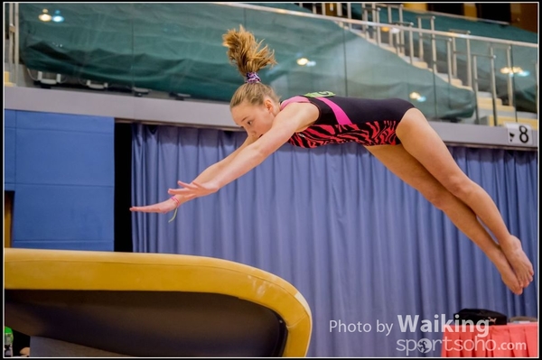 2017-01-15 Artistic Gymnastics 0044