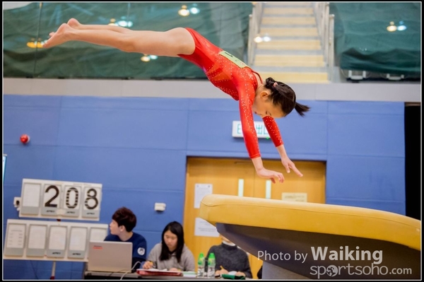 2017-01-15 Artistic Gymnastics 0049