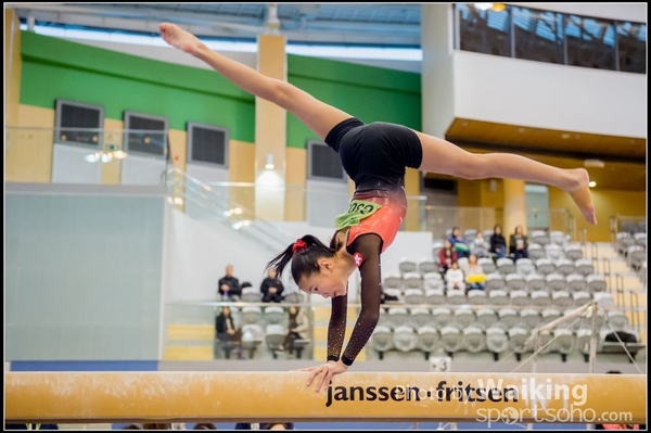 2017-01-15 Artistic Gymnastics 0052