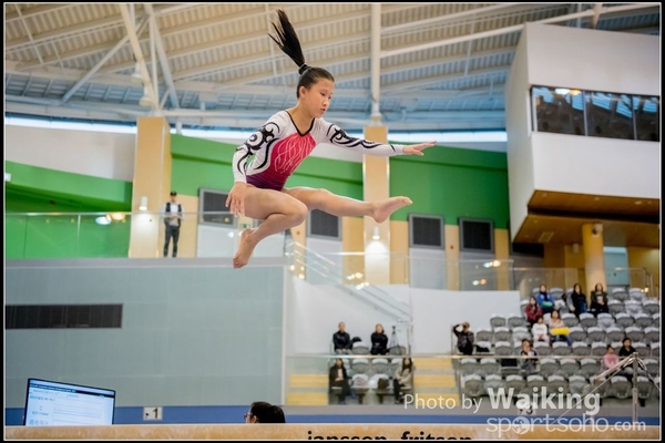 2017-01-15 Artistic Gymnastics 0060